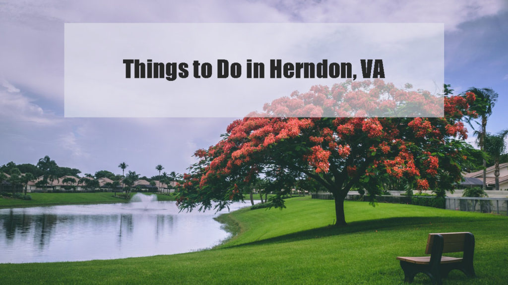 day trips from herndon va